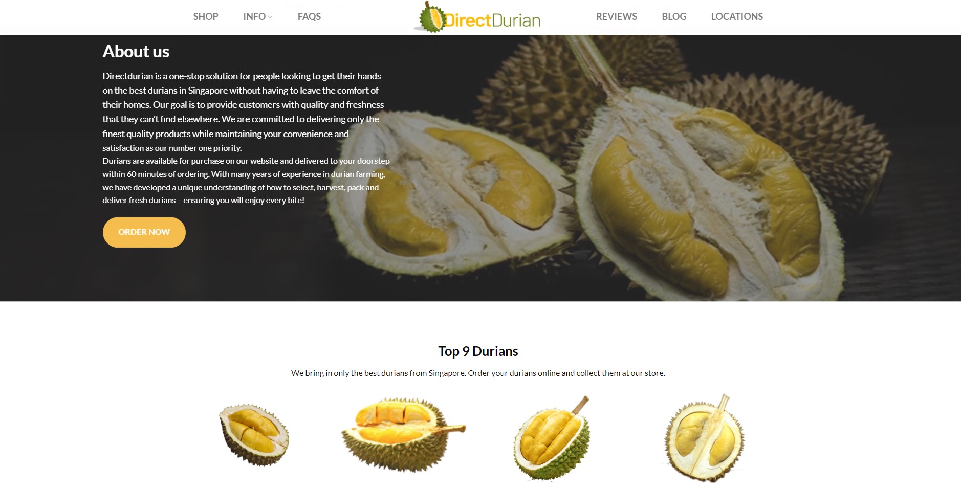 Direct Durian Homepage 2